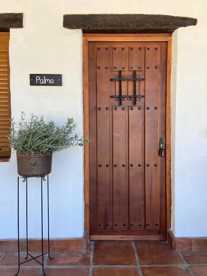 בית חווה קסרס The Wild Olive Andalucia Palma Guestroom