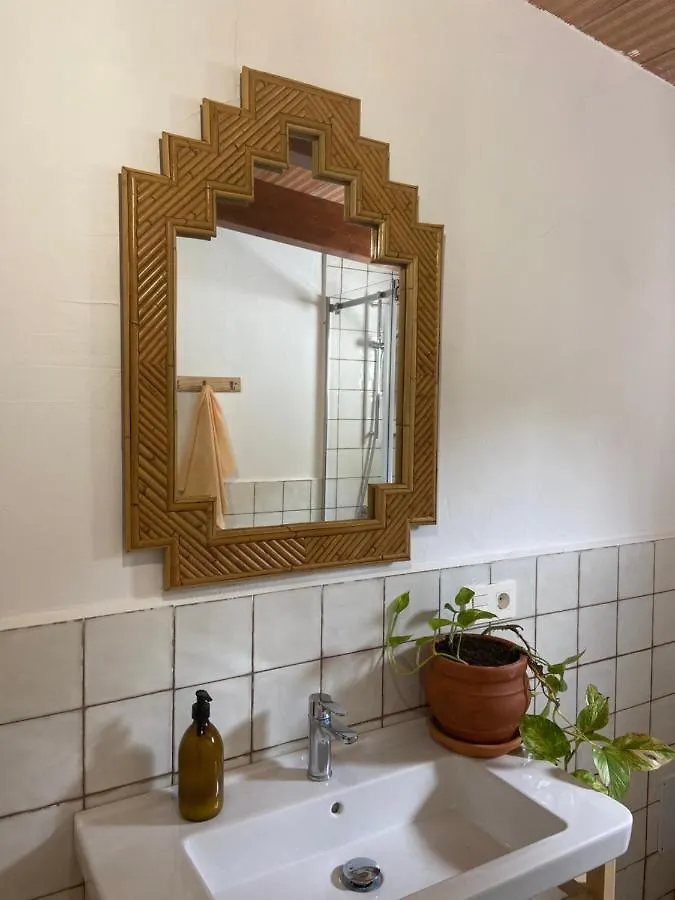 קסרס The Wild Olive Andalucia Palma Guestroom בית חווה