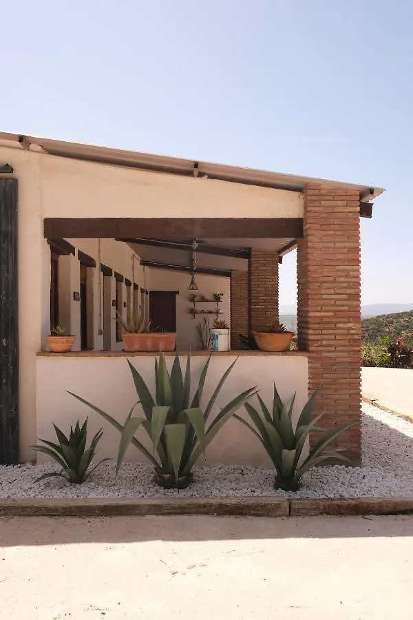 בית חווה קסרס The Wild Olive Andalucia Palma Guestroom ספרד