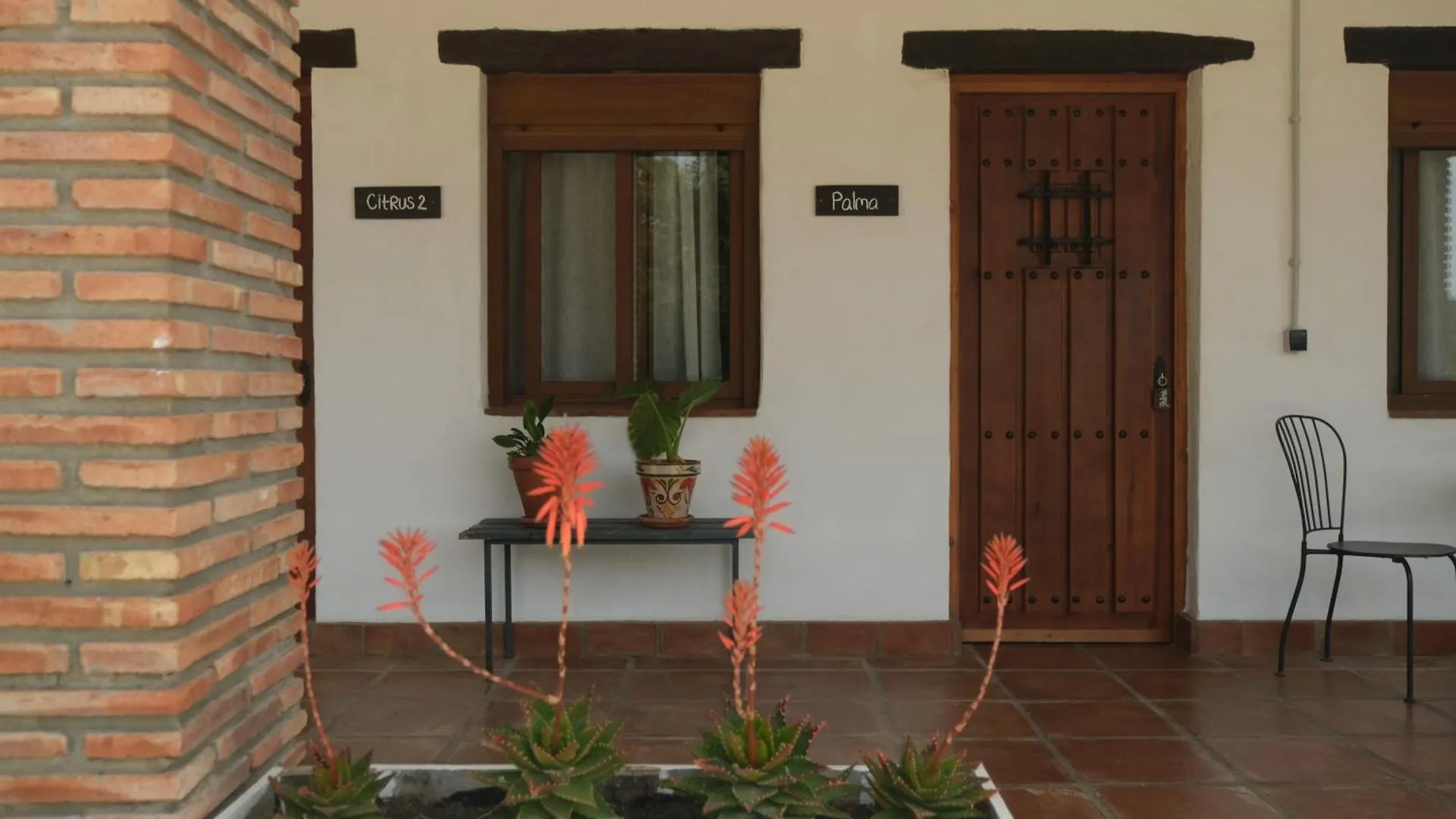קסרס The Wild Olive Andalucia Palma Guestroom 0*,  ספרד